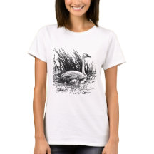 Trompeters-Schwan-Illustration (Linie Kunst)