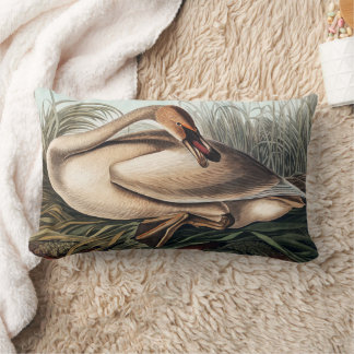 Trompeterschwan von John James Audubon   Lendenkissen