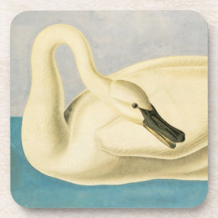 Trompeterschwan von John James Audubon, Vintage Vo Getränkeuntersetzer