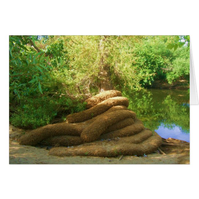 Tronc d'arbre effrayant (Devant horizontal)
