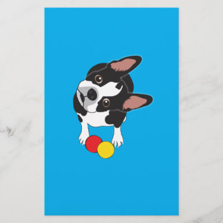 Trooper der Boston Terrier