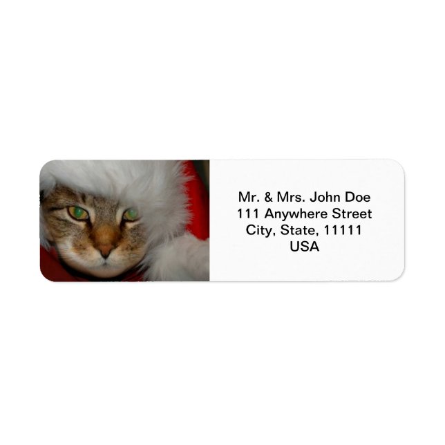 "Trooper The Cat" Sandpaper Kisses adressiert Labe (Vorne)