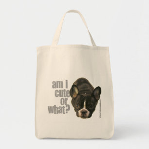 trop mignon pour porter le sac 2