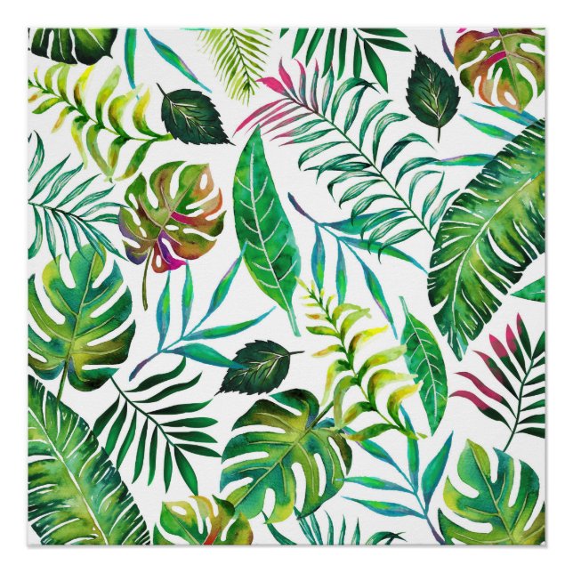 Tropenflora Poster (Vorderseite)