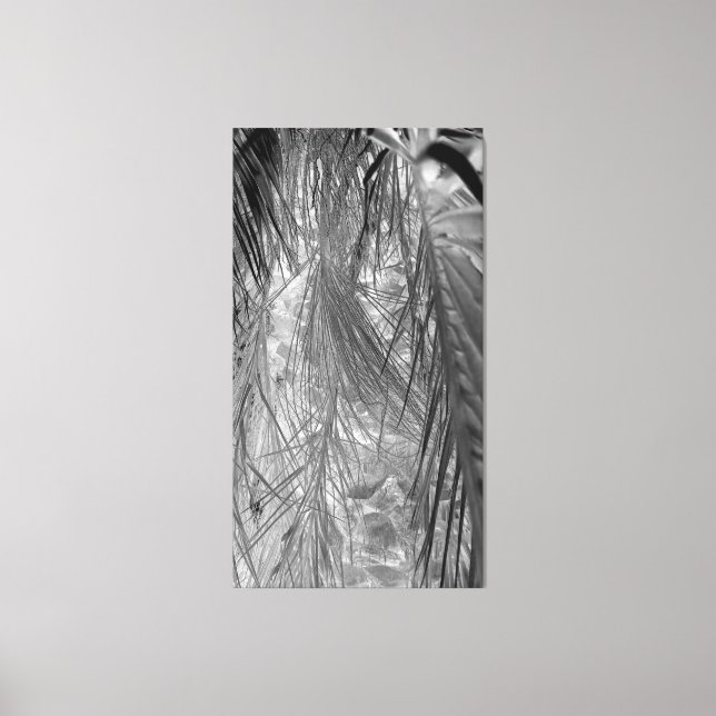 Tropenflüster Leinwanddruck (Vorderseite)