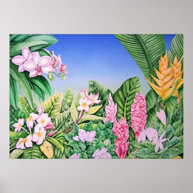 Tropengarten Poster (Vorne)