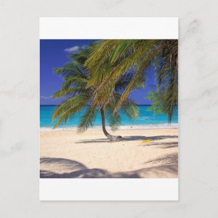 Tropeninsel Seven Mile Grand Cayman Postkarte