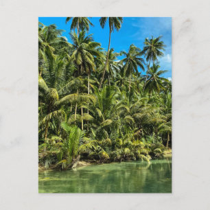 Tropenlandschaft, Philippinen, Kawasan fällt Cas Postkarte