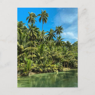 Tropenlandschaft, Philippinen, Kawasan fällt Cas Postkarte