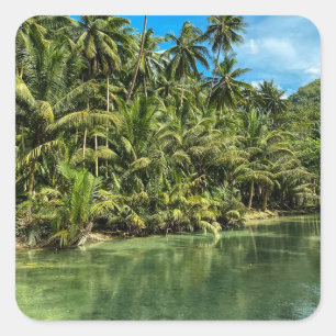 Tropenlandschaft, Philippinen, Kawasan fällt Cas Quadratischer Aufkleber