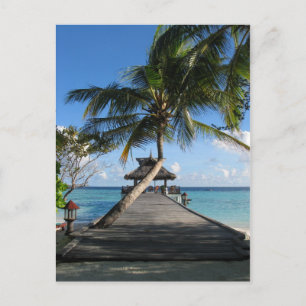 Tropenparadies - Der 12. Dezember 2007 Postkarte