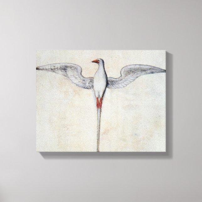Tropenvogel Leinwanddruck (Vorderseite)