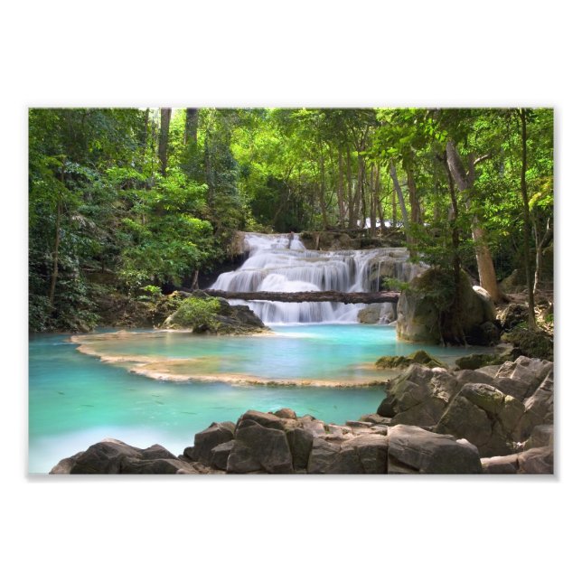 Tropenwald Fotodruck (Vorne)