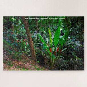 Tropenwald Grenada Karibik. Jigsaw Puz