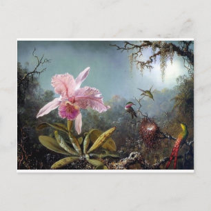 Tropenwaldbemalung der Blume Hummingvogel Postkarte