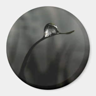 Tröpfchen Magnet