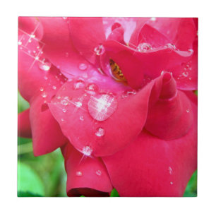Tropfen auf Petals Keramik Foto Tile Fliese