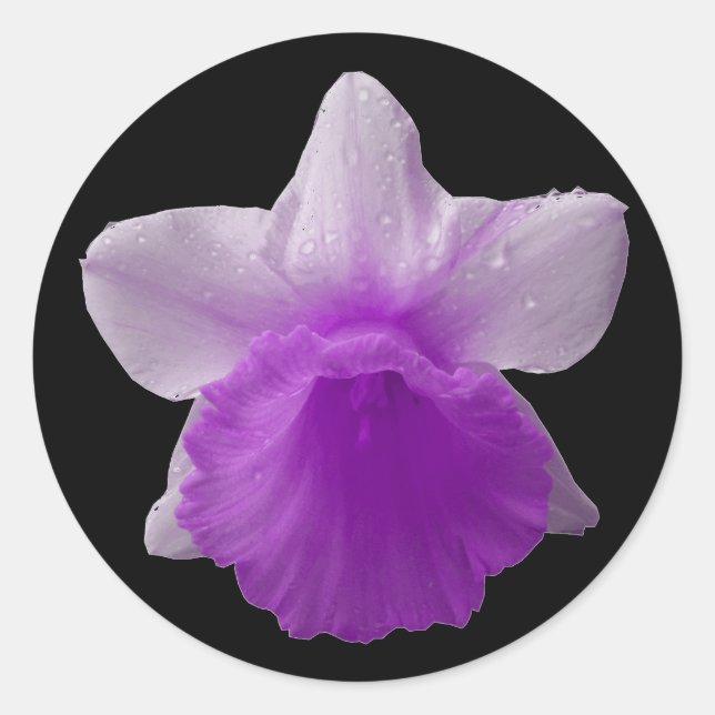 Tropfen Lila Sticker (Vorderseite)