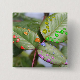 Tropfen mit Stolz Button