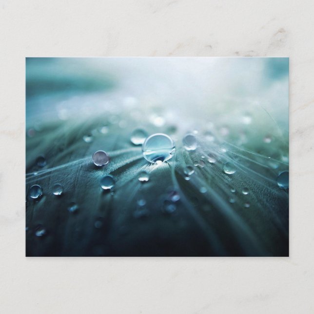 Tropfen Postkarte (Vorderseite)