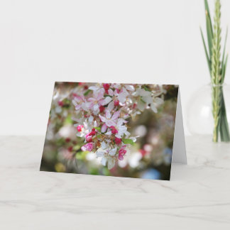 Tropfen Schönheitskarte Karte