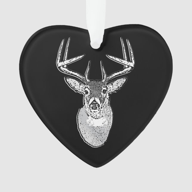 Trophée Buck sur Cerf à queue blanche noire (devant)