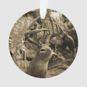 Trophée Deer