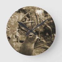 Trophy Deer