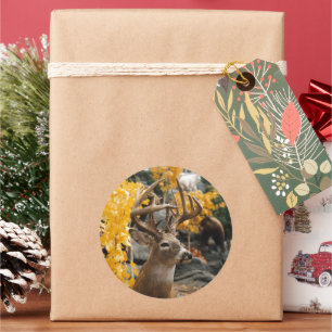 Trophy Deer Runder Aufkleber