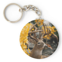 Trophy Deer
