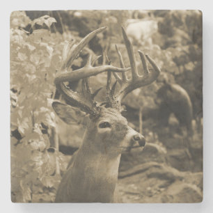 Trophy Deer Steinuntersetzer