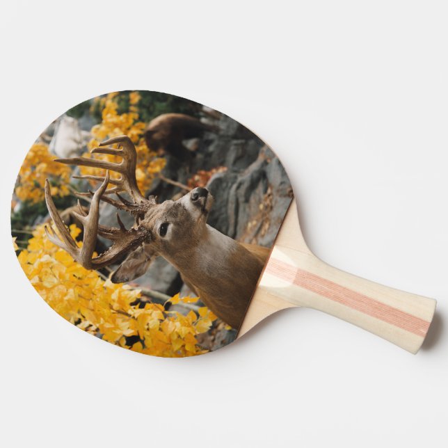 Trophy Deer Tischtennis Schläger (Seitenansicht)