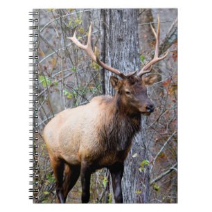 Trophy Elk Notebook Notizblock