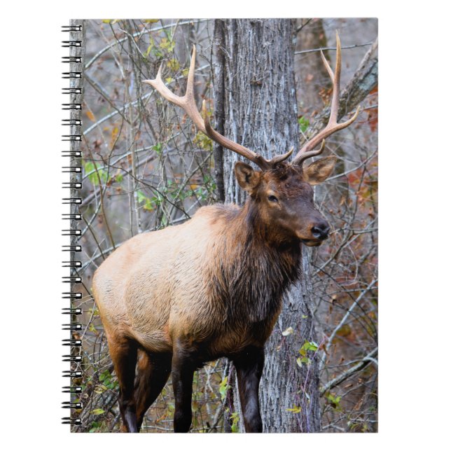 Trophy Elk Notebook Notizblock (Vorderseite)