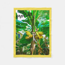 Tropical Banana Palm Tree St Augustine Florida Fleecedecke