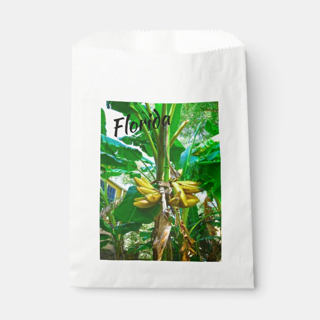 Tropical Banana Palm Tree St Augustine Florida Geschenktütchen (Vorderseite)