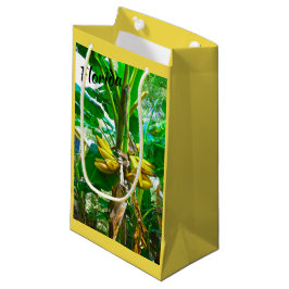 Tropical Banana Palm Tree St Augustine Florida Kleine Geschenktüte