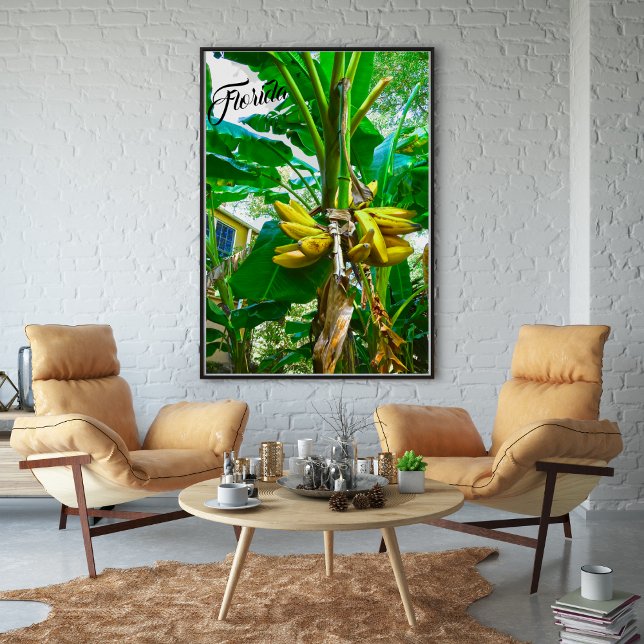 Tropical Banana Palm Tree St Augustine Florida Poster (Von Creator hochgeladen)