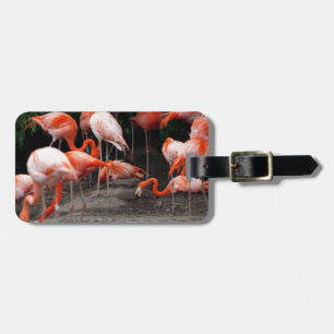 Tropical Beach Birds Destination Flamingos Gepäckanhänger