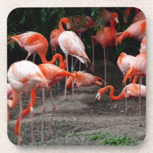Tropical Beach Birds Destination Flamingos Getränkeuntersetzer