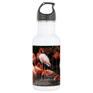 Tropical Beach Birds Destination Flamingos Trinkflasche