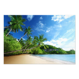 Tropical Beach Foto Print
