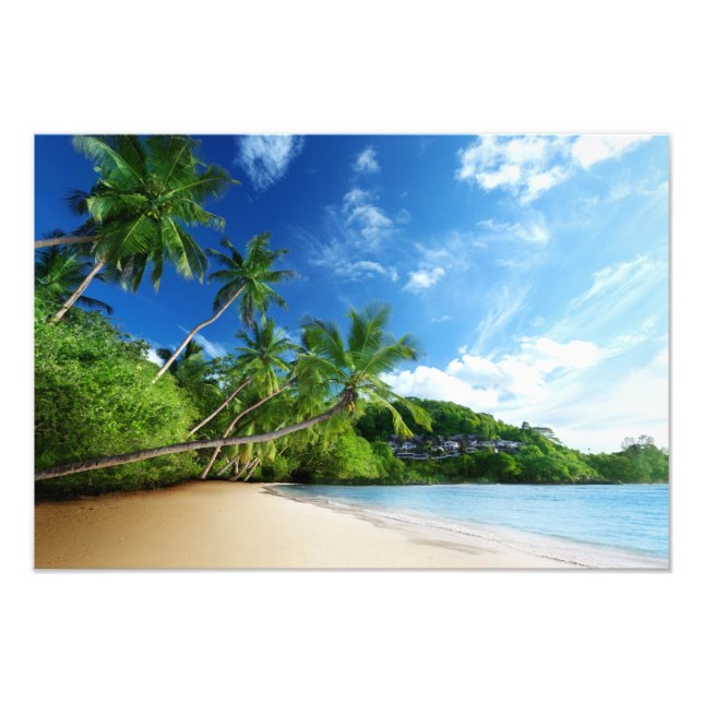 Tropical Beach Foto Print (Vorne)