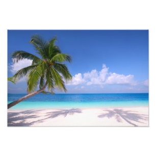 Tropical Beach Foto Print
