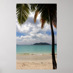 Tropical Beach Poster