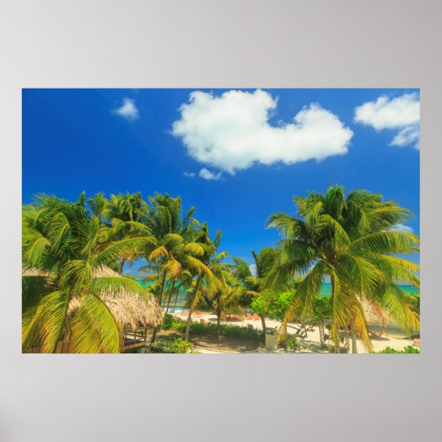 Tropical beach resort, Belize Poster (Vorne)