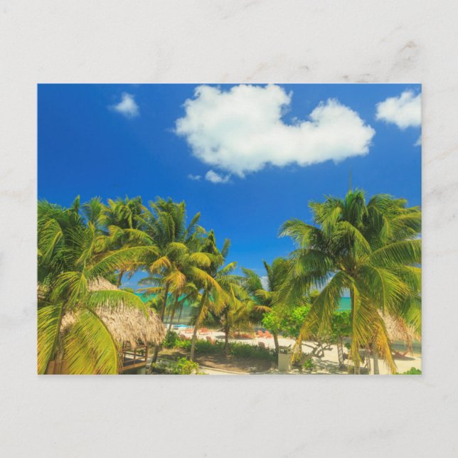 Tropical beach resort, Belize Postkarte (Vorderseite)