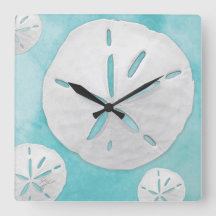 Tropical Beach Sand Dollar Türkisches Wasser