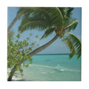 Tropical Beach Sand Sun Water Ocean Waves Surfen K Fliese