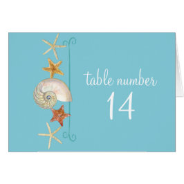 Tropical Beach Shells Starfish Nautilus Été